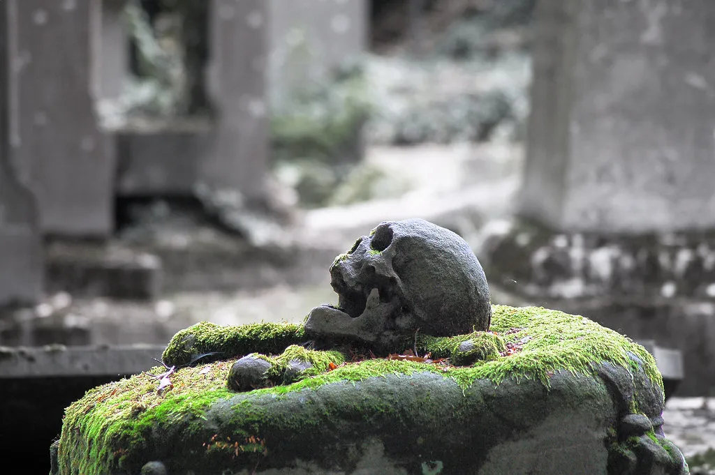 Le cimetière du crâne de Bruges le cimetiere du crane de bruges pirate 4 le-cimetiere-du-crane-de-bruges-pirate-4