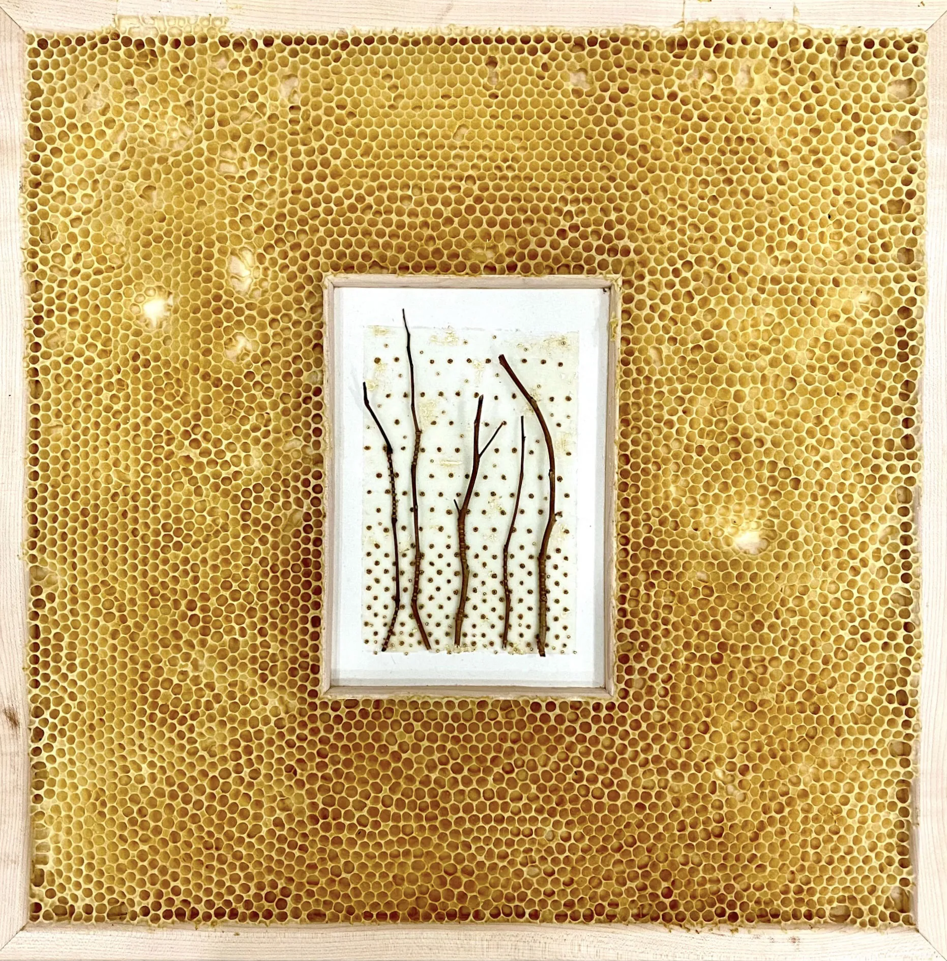 Des broderies avec des nids d'abeille par Ava Roth des broderies avec des nids dabeille par ava roth 11 des-broderies-avec-des-nids-dabeille-par-ava-roth-11