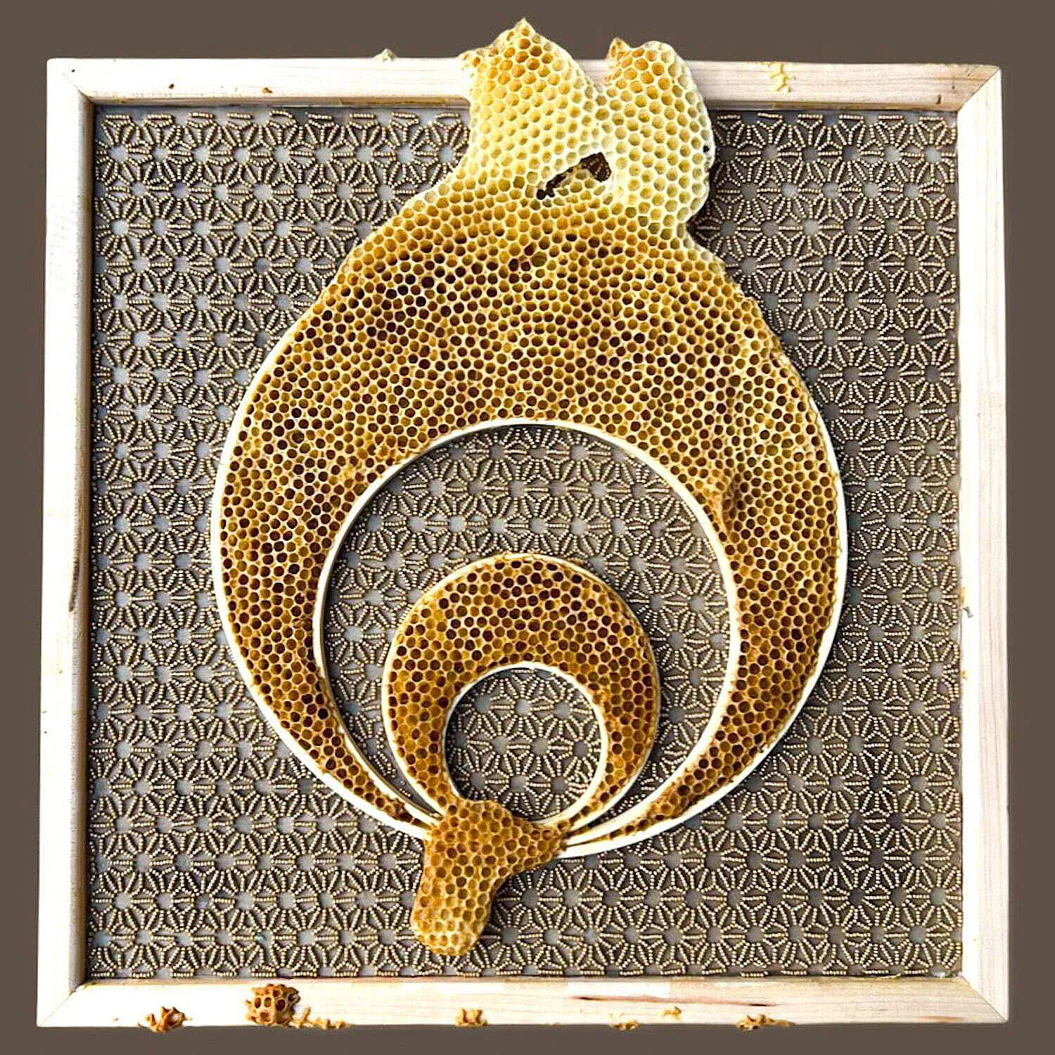 Des broderies avec des nids d'abeille par Ava Roth des broderies avec des nids dabeille par ava roth 4 des-broderies-avec-des-nids-dabeille-par-ava-roth-4