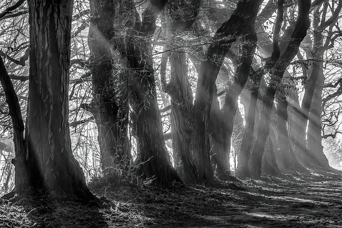 Quelques clichés noir et blanc par Michał Skarbiński quelques cliches noir et blanc par michal skarbinski 3 quelques-cliches-noir-et-blanc-par-michal-skarbinski-3