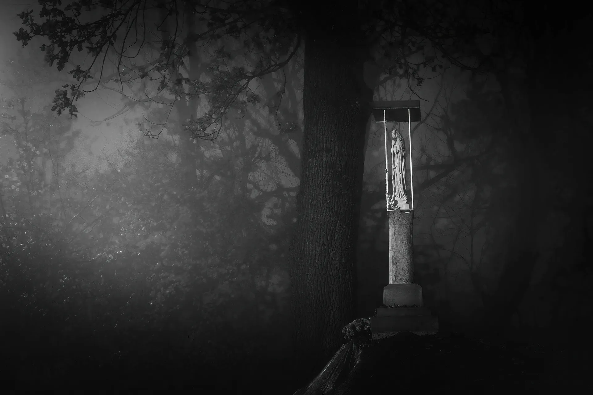 Quelques clichés noir et blanc par Michał Skarbiński quelques cliches noir et blanc par michal skarbinski 7 quelques-cliches-noir-et-blanc-par-michal-skarbinski-7