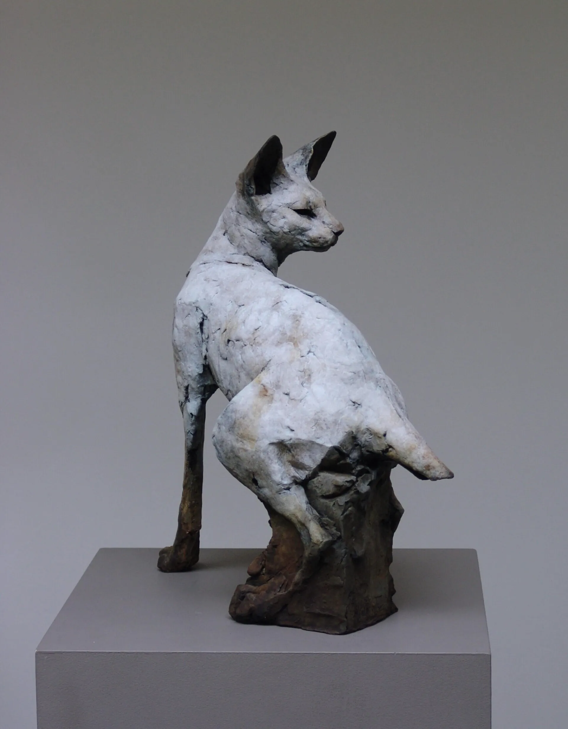 Resting with Ancients - les esprits animaux resting with ancients les esprits animaux nichola theakston 7 resting-with-ancients-les-esprits-animaux-nichola-theakston-7