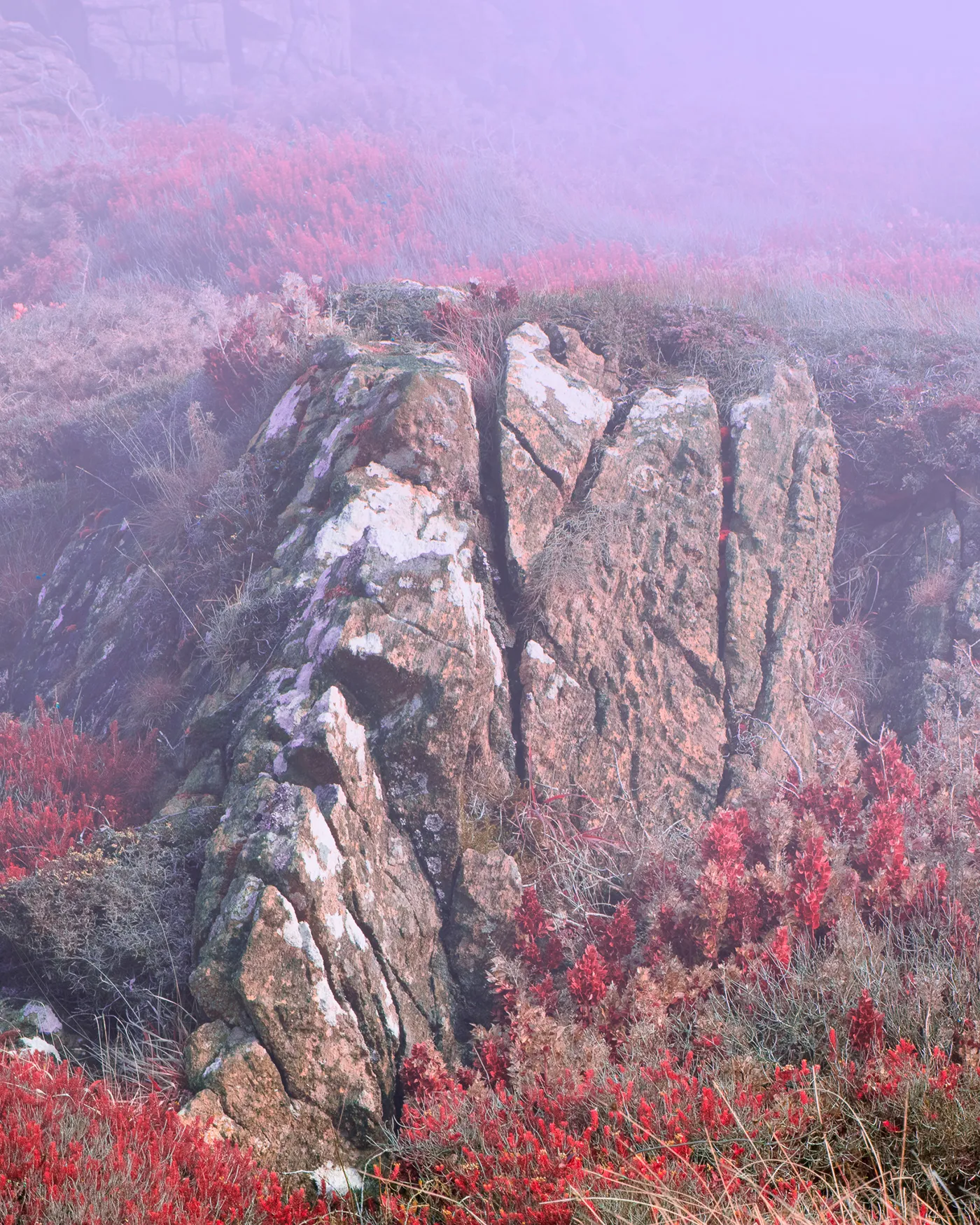 Engulfed: des rochers aux couleurs surréalistes engulfed des rochers aux couleurs surrealistes 7 engulfed-des-rochers-aux-couleurs-surrealistes-7