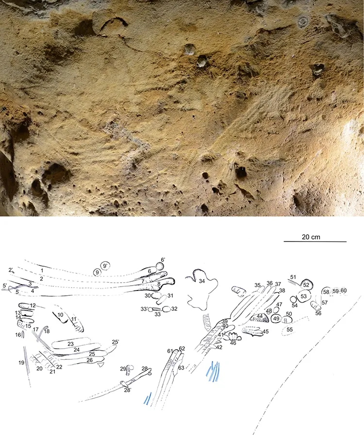 La grotte de La Roche-Cotard contient les plus vieilles gravures de Néandertal la grotte de la roche cotard contient les plus vieilles gravures de neanderthal 3 la-grotte-de-la-roche-cotard-contient-les-plus-vieilles-gravures-de-neanderthal-3