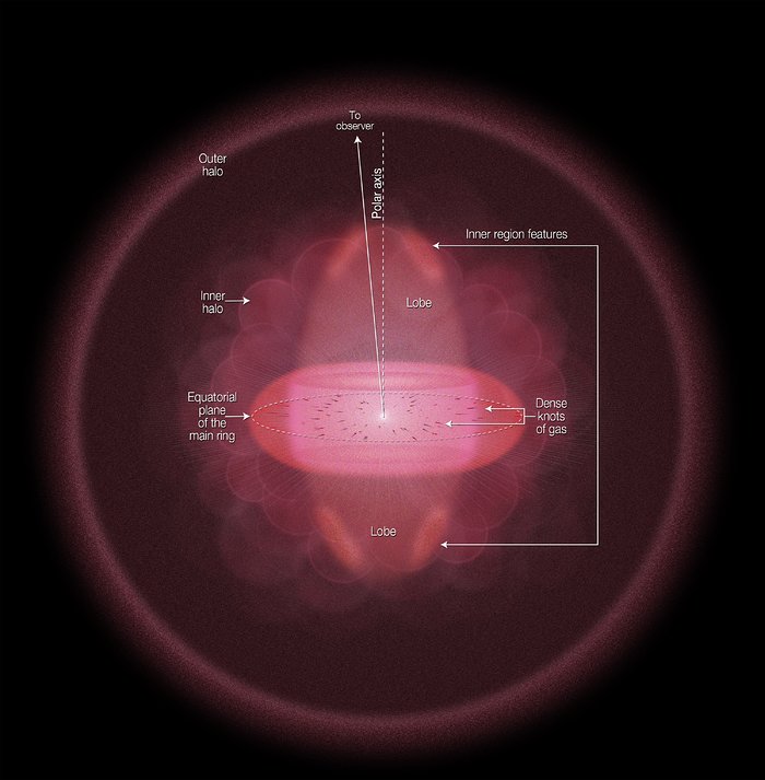 Structure 3D de la nébuleuse de l’Anneau M57 Schéma de la structure tridimensionnelle de M57 montrant l’anneau de gaz et les lobes de la nébuleuse