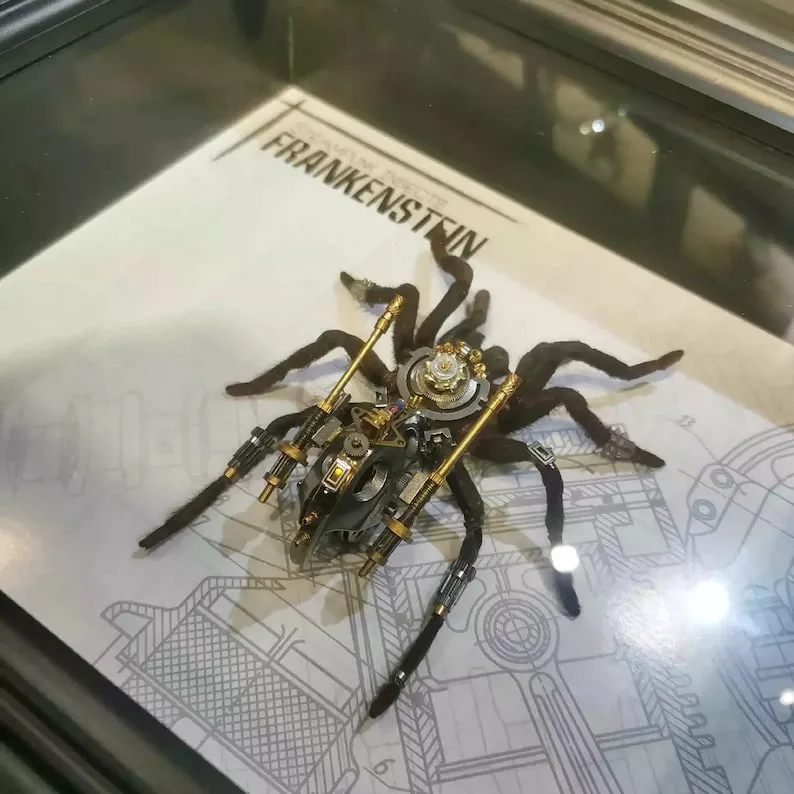 De splendides animaux mécaniques steampunk de splendides animaux mecaniques steampunk tarentule cyborg de-splendides-animaux-mecaniques-steampunk-tarentule-cyborg