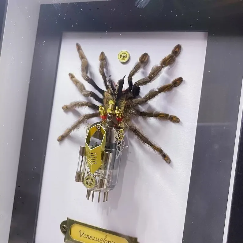 De splendides animaux mécaniques steampunk de splendides animaux mecaniques steampunk tarentule de-splendides-animaux-mecaniques-steampunk-tarentule.