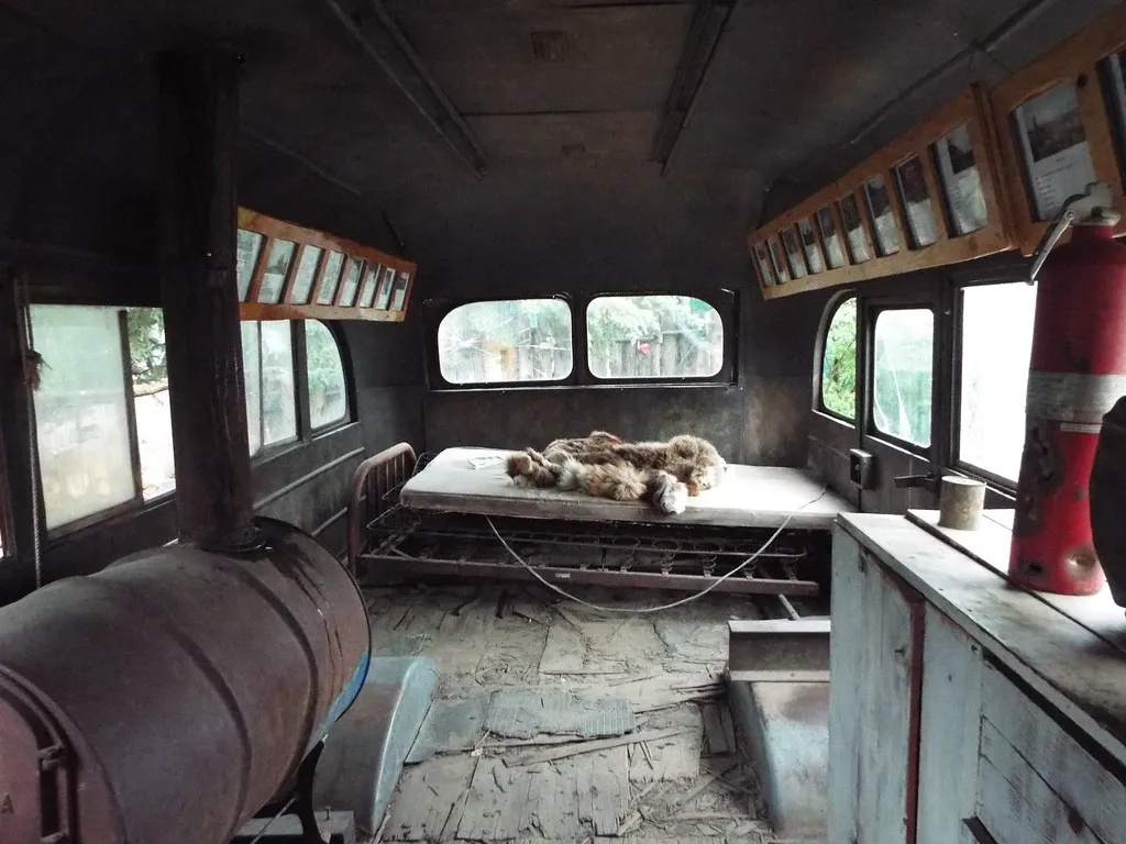 Le Magic Bus de Into The Wild trône dans la cour d'un pub d'Alaska le magic bus de into the wild trone dans la cour dun pub d alaska 5 le-magic-bus-de-into-the-wild-trone-dans-la-cour-dun-pub-d-alaska-5