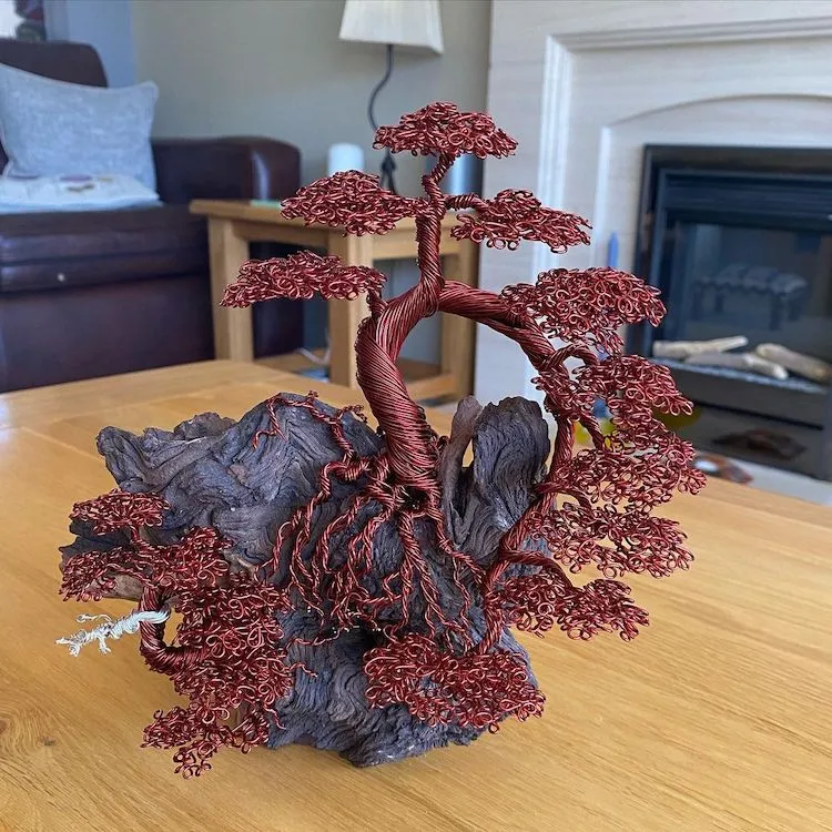 Les bonzaïs en fil de fer de Andy Elliot les bonzais en fil de fer de andy elliot 10 les-bonzais-en-fil-de-fer-de-andy-elliot-10