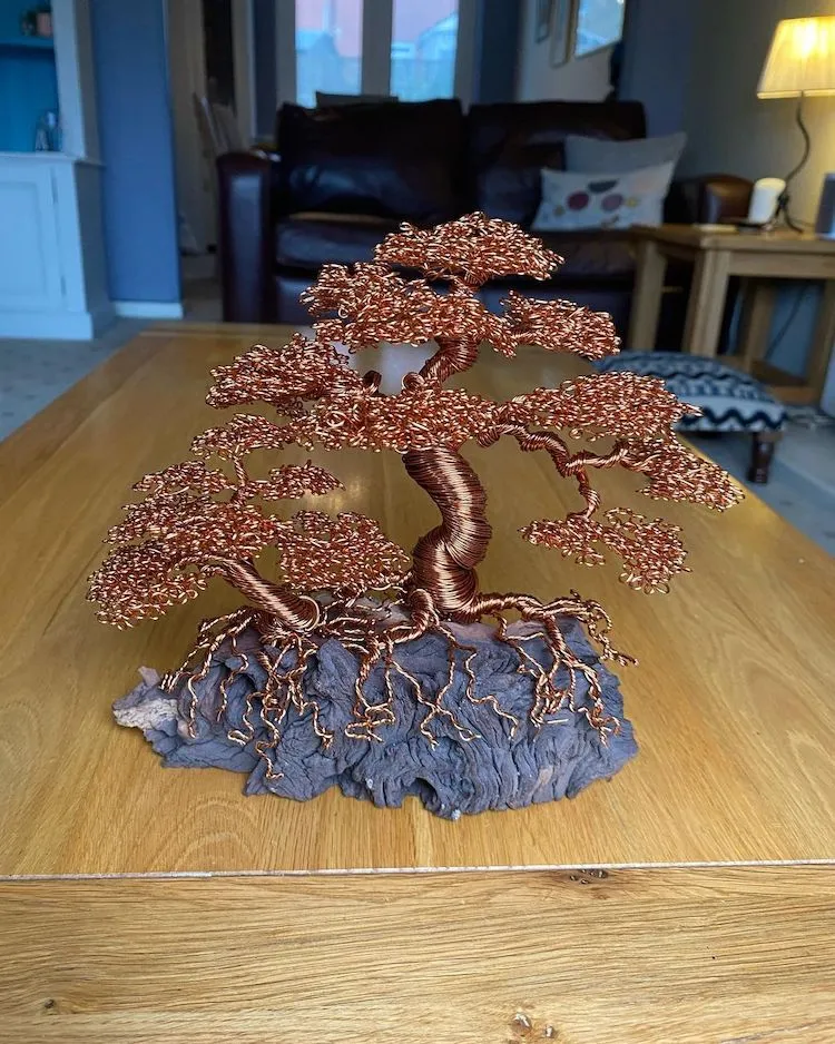 Les bonzaïs en fil de fer de Andy Elliot les bonzais en fil de fer de andy elliot 15 les-bonzais-en-fil-de-fer-de-andy-elliot-15