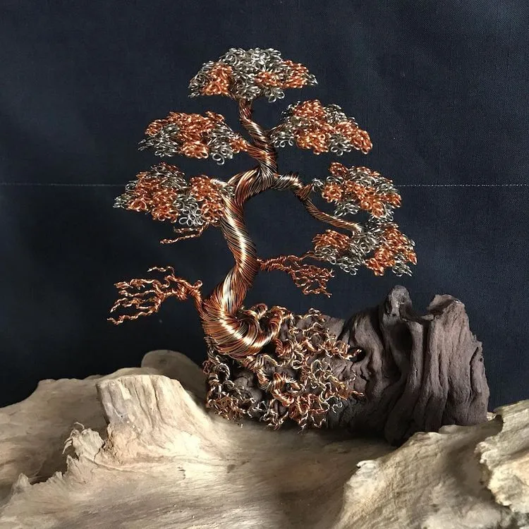 Les bonzaïs en fil de fer de Andy Elliot les bonzais en fil de fer de andy elliot 19 les-bonzais-en-fil-de-fer-de-andy-elliot-19