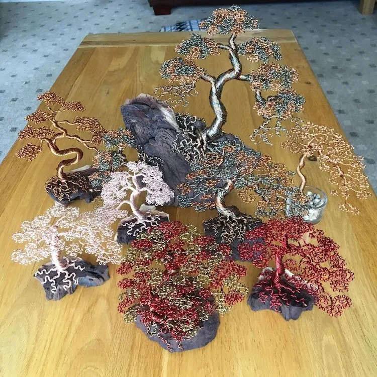 Les bonzaïs en fil de fer de Andy Elliot les bonzais en fil de fer de andy elliot 21 les-bonzais-en-fil-de-fer-de-andy-elliot-21