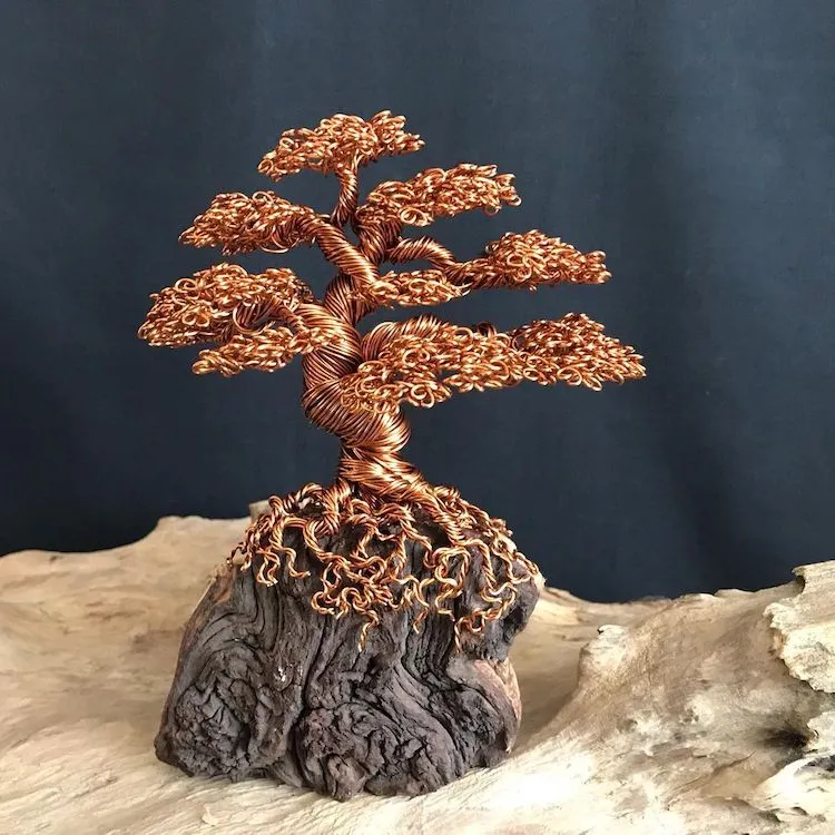 Les bonzaïs en fil de fer de Andy Elliot les bonzais en fil de fer de andy elliot 4 les-bonzais-en-fil-de-fer-de-andy-elliot-4