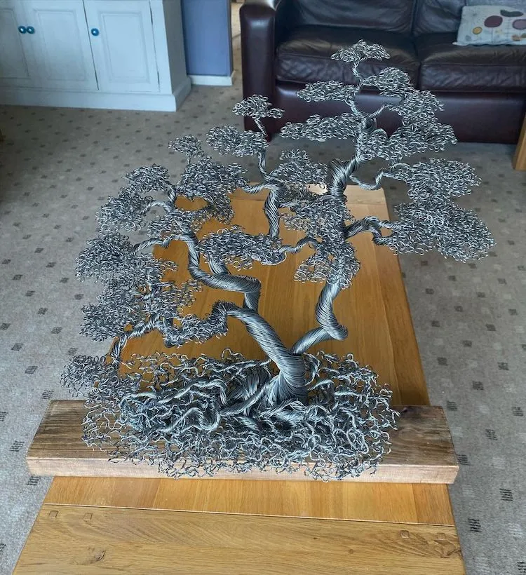 Les bonzaïs en fil de fer de Andy Elliot les bonzais en fil de fer de andy elliot 5 les-bonzais-en-fil-de-fer-de-andy-elliot-5