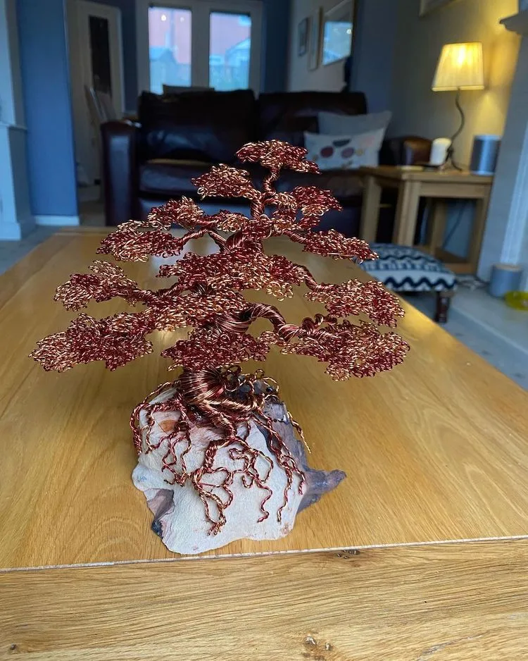 Les bonzaïs en fil de fer de Andy Elliot les bonzais en fil de fer de andy elliot 6 les-bonzais-en-fil-de-fer-de-andy-elliot-6