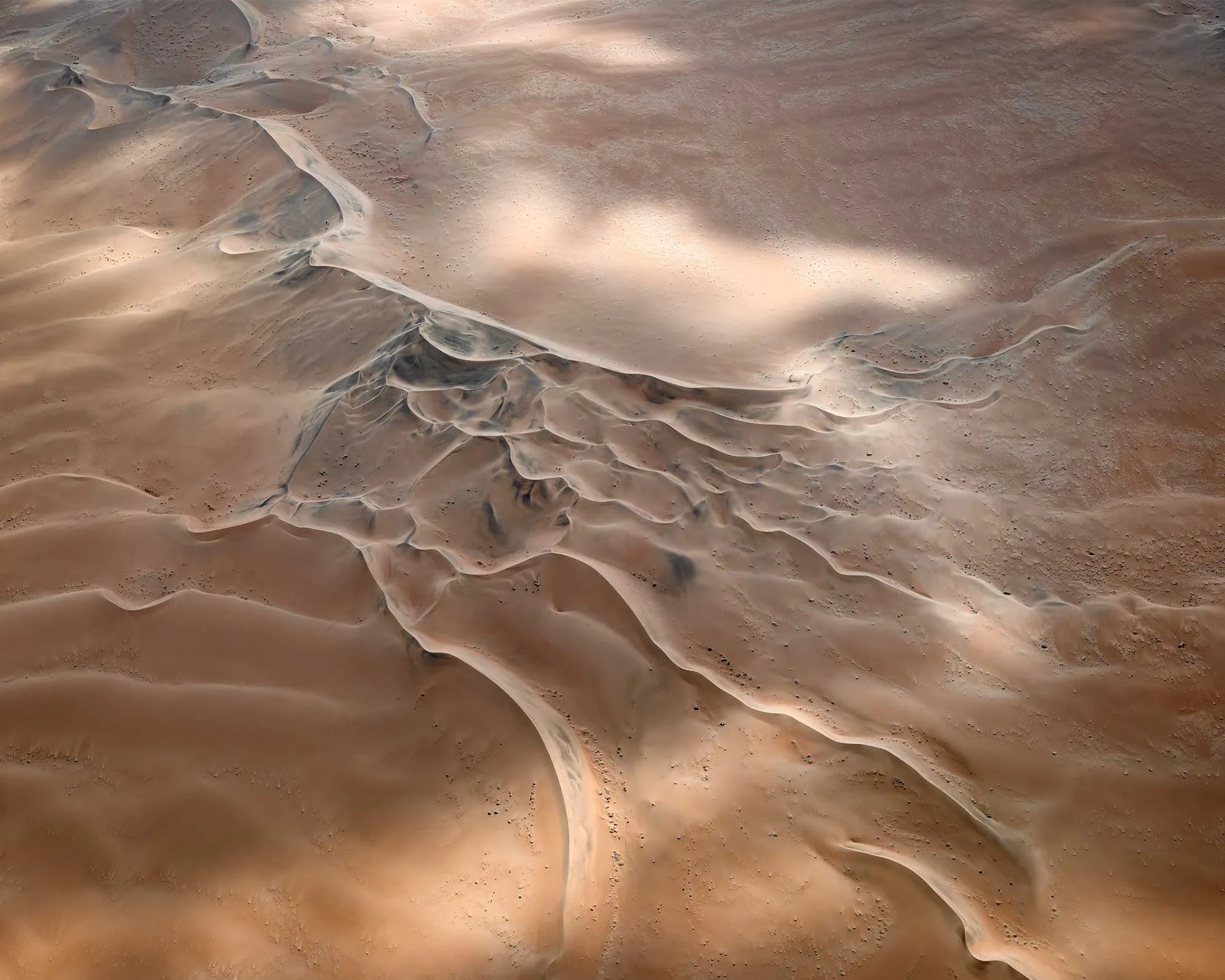 The Order of Nature - des dunes vues du ciel par Leah Kennedy the order of nature des dunes vues du ciel par leah kennedy 2 the-order-of-nature-des-dunes-vues-du-ciel-par-leah-kennedy-2