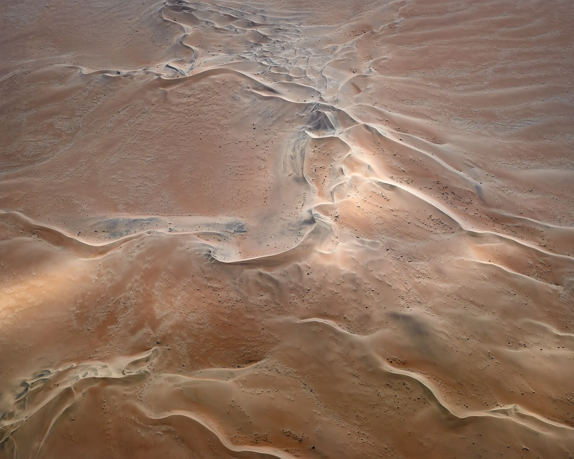 The Order of Nature - des dunes vues du ciel par Leah Kennedy the order of nature des dunes vues du ciel par leah kennedy 3 the-order-of-nature-des-dunes-vues-du-ciel-par-leah-kennedy-3