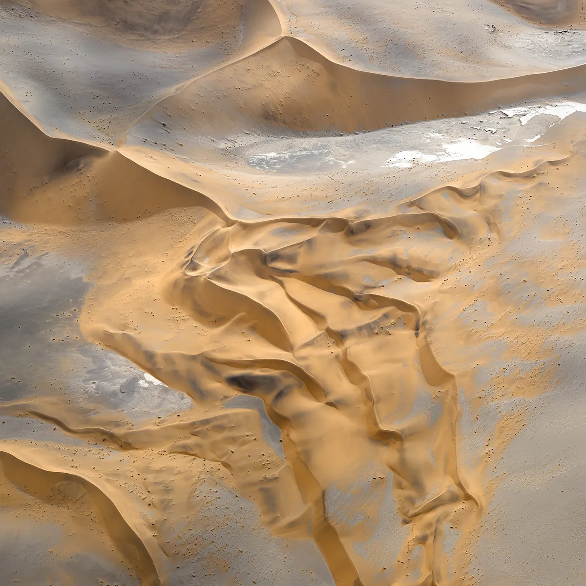 The Order of Nature - des dunes vues du ciel par Leah Kennedy the order of nature des dunes vues du ciel par leah kennedy 5 the-order-of-nature-des-dunes-vues-du-ciel-par-leah-kennedy-5