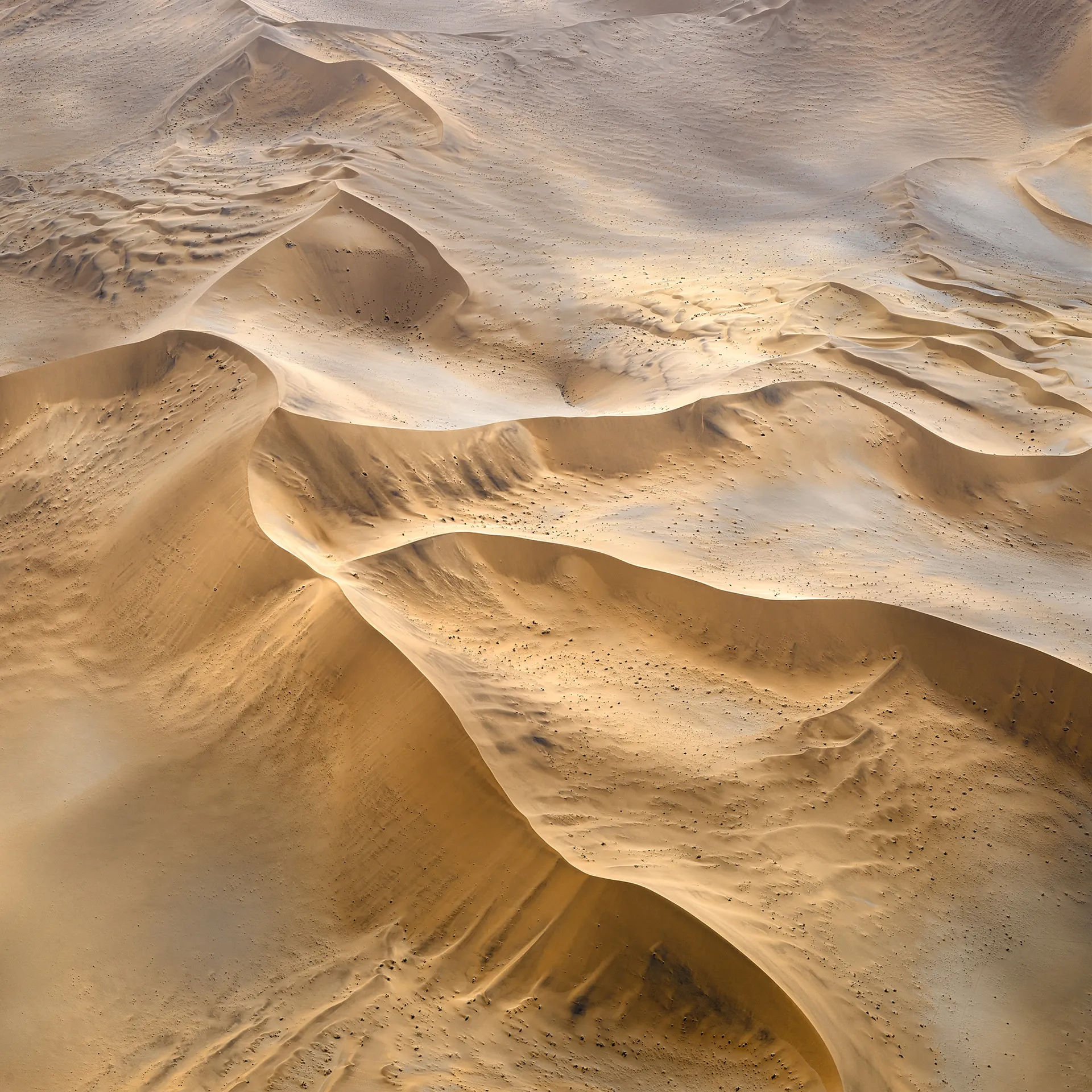 The Order of Nature - des dunes vues du ciel par Leah Kennedy the order of nature des dunes vues du ciel par leah kennedy 6 the-order-of-nature-des-dunes-vues-du-ciel-par-leah-kennedy-6
