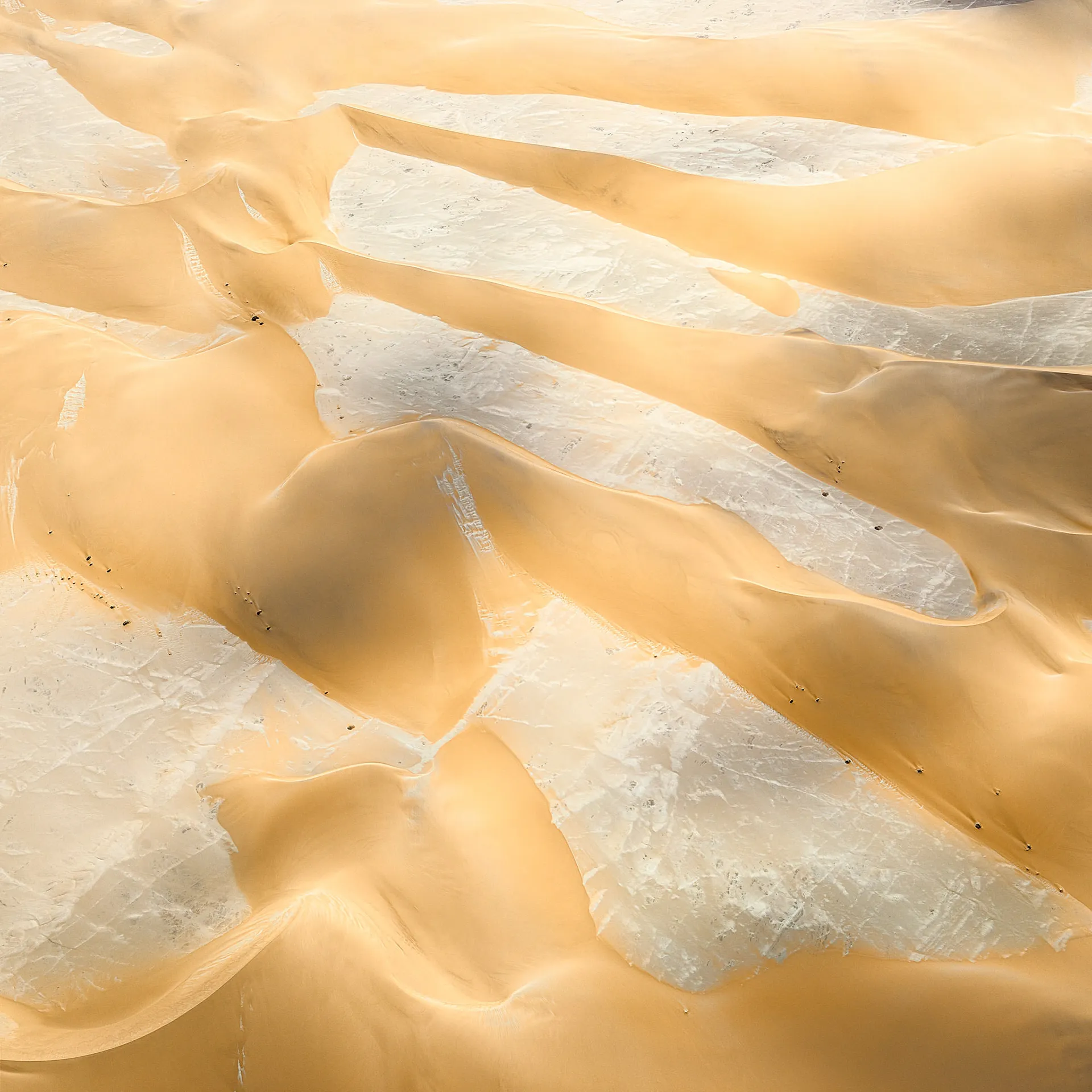 The Order of Nature - des dunes vues du ciel par Leah Kennedy the order of nature des dunes vues du ciel par leah kennedy 7 the-order-of-nature-des-dunes-vues-du-ciel-par-leah-kennedy-7