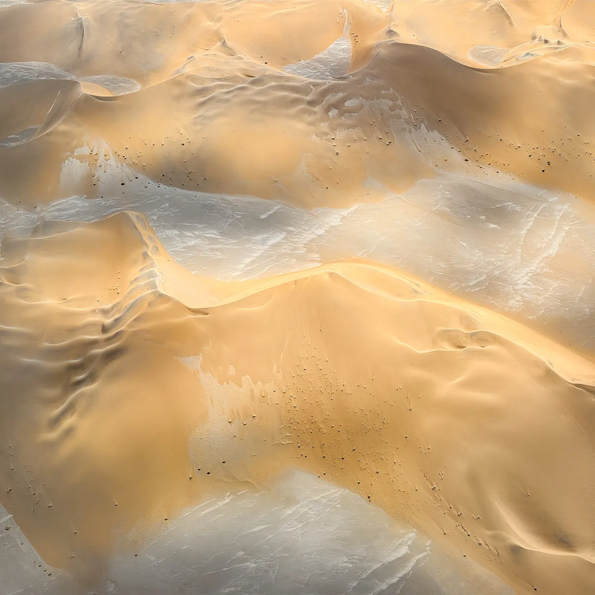 The Order of Nature - des dunes vues du ciel par Leah Kennedy the order of nature des dunes vues du ciel par leah kennedy 8 the-order-of-nature-des-dunes-vues-du-ciel-par-leah-kennedy-8