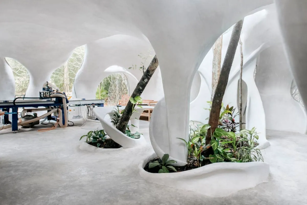 Des bureaux de forme organique dans la jungle Maya des bureaux de forme organique dans la jungle maya tulum mexique 6 des-bureaux-de-forme-organique-dans-la-jungle-maya-tulum-mexique-6