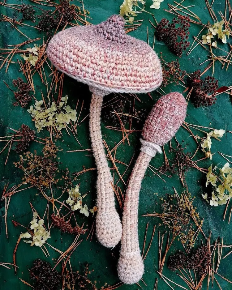 Des fleurs, des champignons et des coquillages au crochet des fleurs des champignons et des coquillages au crochet 3 des-fleurs-des-champignons-et-des-coquillages-au-crochet-3