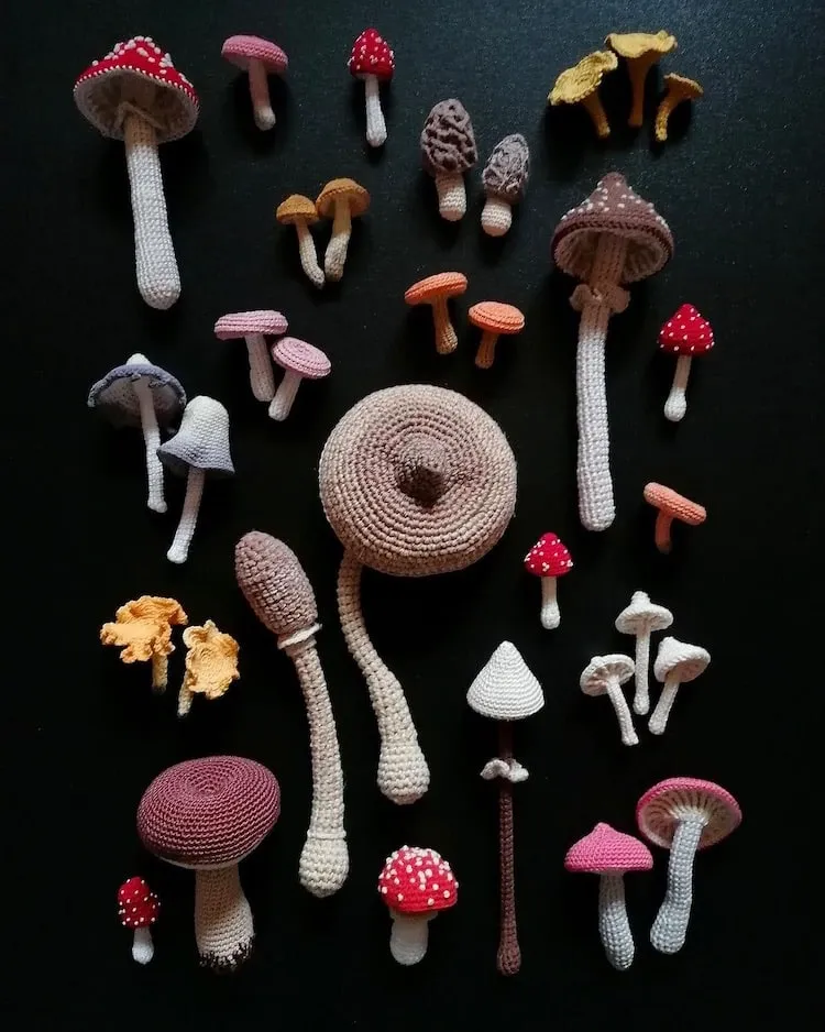 Des fleurs, des champignons et des coquillages au crochet des fleurs des champignons et des coquillages au crochet 4 des-fleurs-des-champignons-et-des-coquillages-au-crochet-4