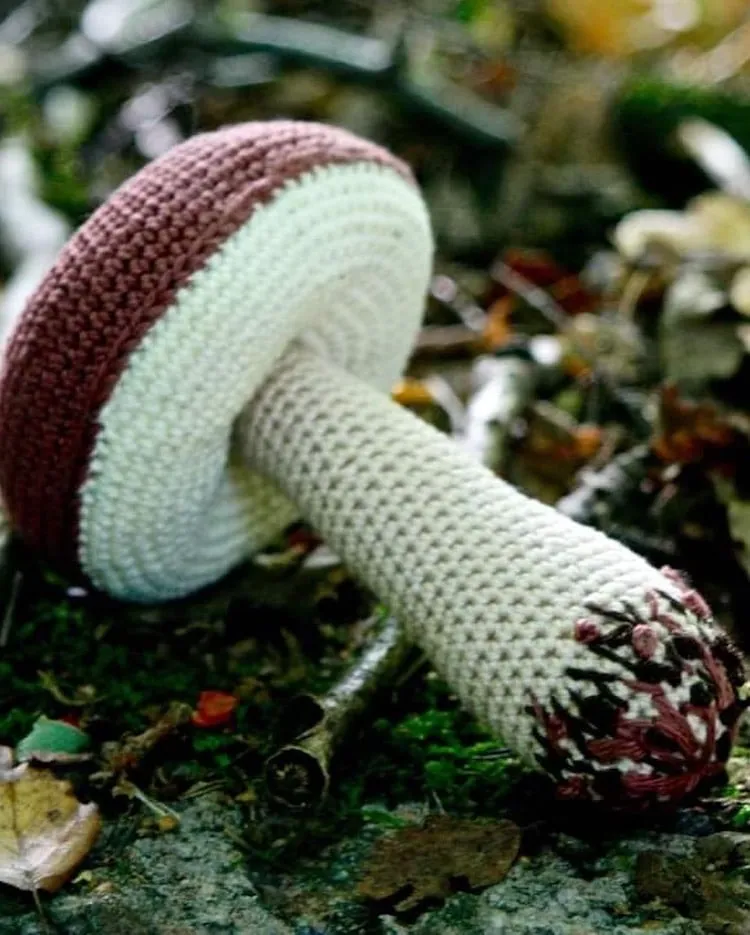 Des fleurs, des champignons et des coquillages au crochet des fleurs des champignons et des coquillages au crochet 6 des-fleurs-des-champignons-et-des-coquillages-au-crochet-6