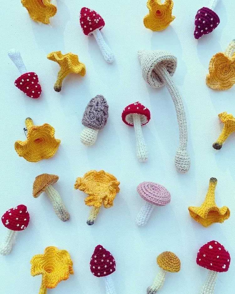 Des fleurs, des champignons et des coquillages au crochet des fleurs des champignons et des coquillages au crochet 9 des-fleurs-des-champignons-et-des-coquillages-au-crochet-9