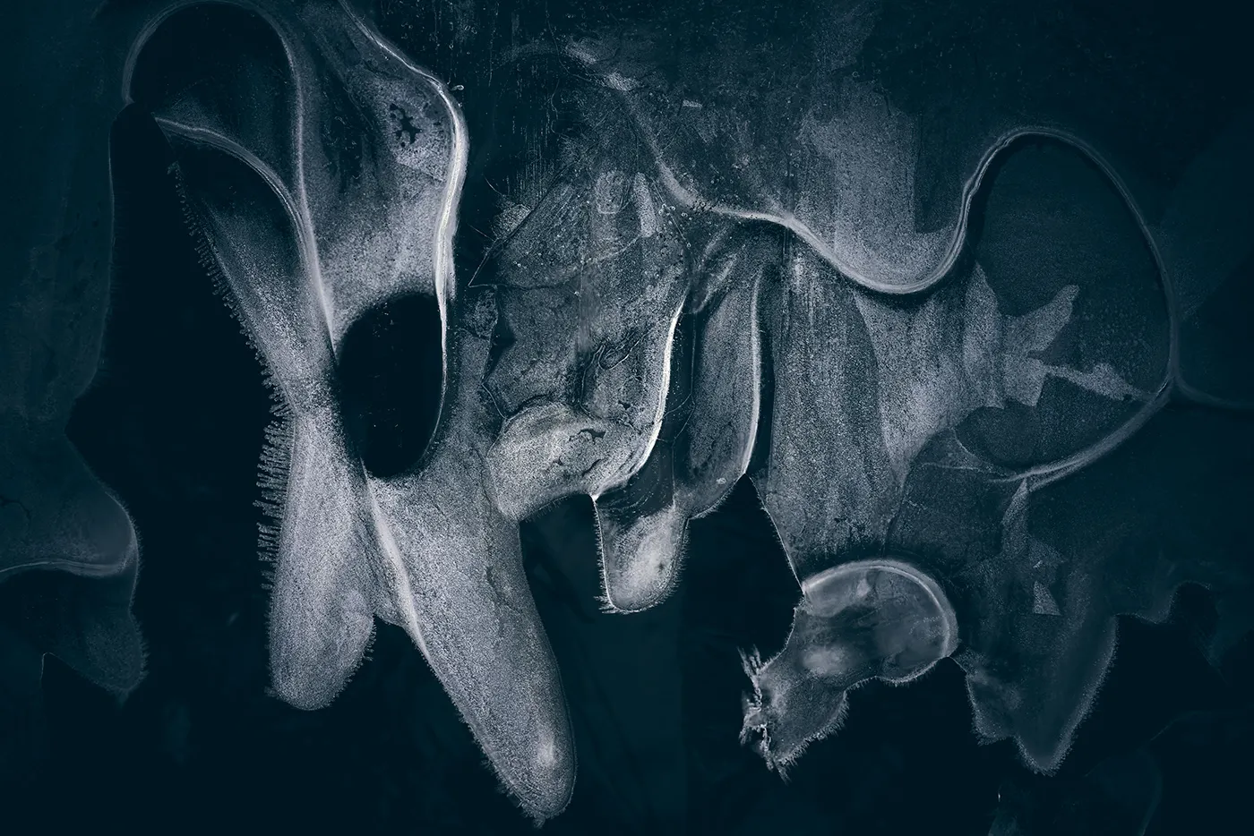 Quand l'eau gelée forme des monstres quand leau gelee forme des monstres 4 quand-leau-gelee-forme-des-monstres-4