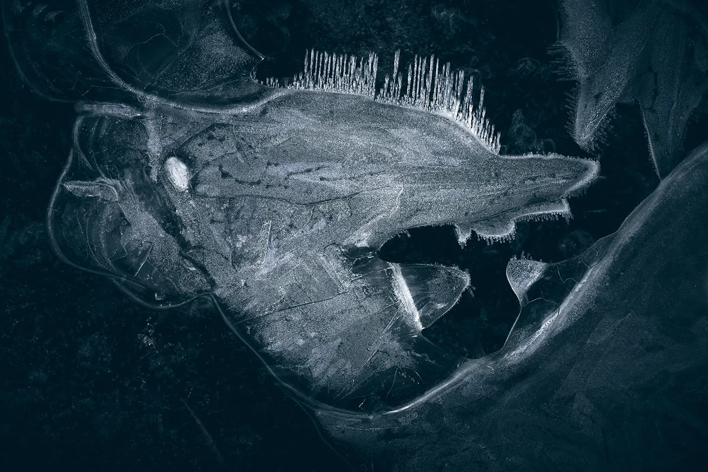 Quand l'eau gelée forme des monstres quand leau gelee forme des monstres 5 quand-leau-gelee-forme-des-monstres-5