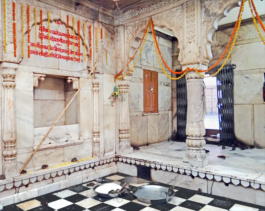 Le temple Karni Mata, le temple des rats temple karni mata le temple des rats deshnoke inde 5 temple-karni-mata-le-temple-des-rats-deshnoke-inde-5