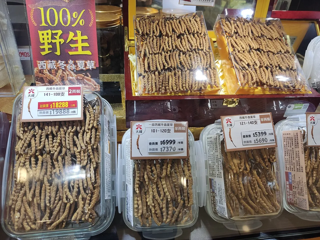 Le champignon chenille, le champignon le plus cher du monde le champignon chenille ou champignon zombie cordyceps plus cher 6 le-champignon-chenille-ou-champignon-zombie-cordyceps-plus-cher-6