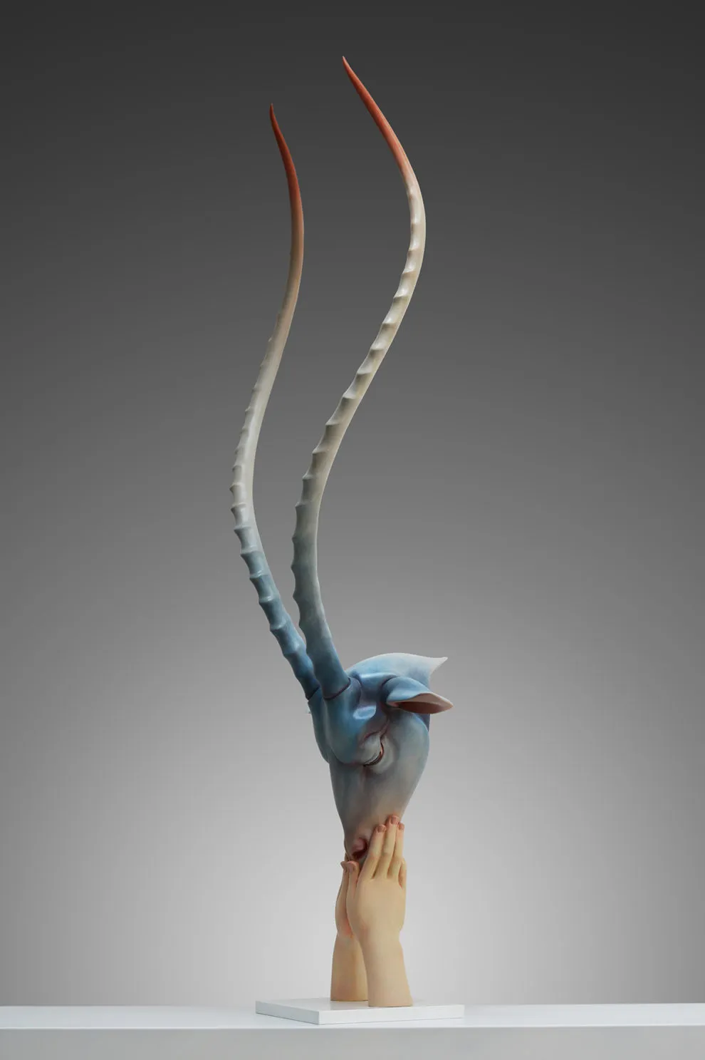 Les magnifiques sculptures d'animaux de Zhao Kai les magnifiques sculptures danimaux de zhao kai 10 les-magnifiques-sculptures-danimaux-de-zhao-kai-10.