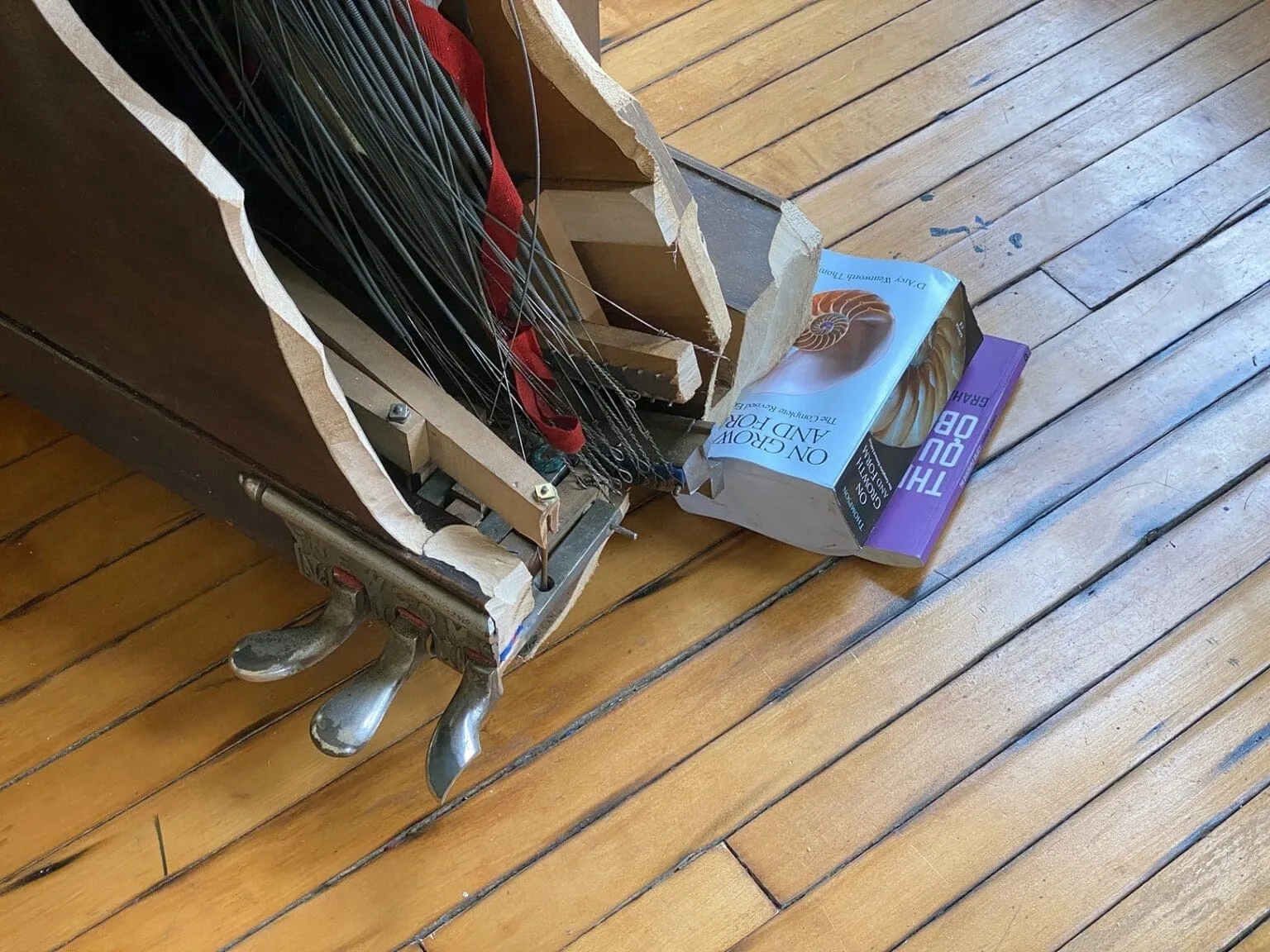 Une fantastique sculpture de pieuvre entre deux pianos par Maskull Lasserre une fantastique sculpture de pieuvre entre deux pianos par maskull lasserre 4 une-fantastique-sculpture-de-pieuvre-entre-deux-pianos-par-maskull-lasserre-4