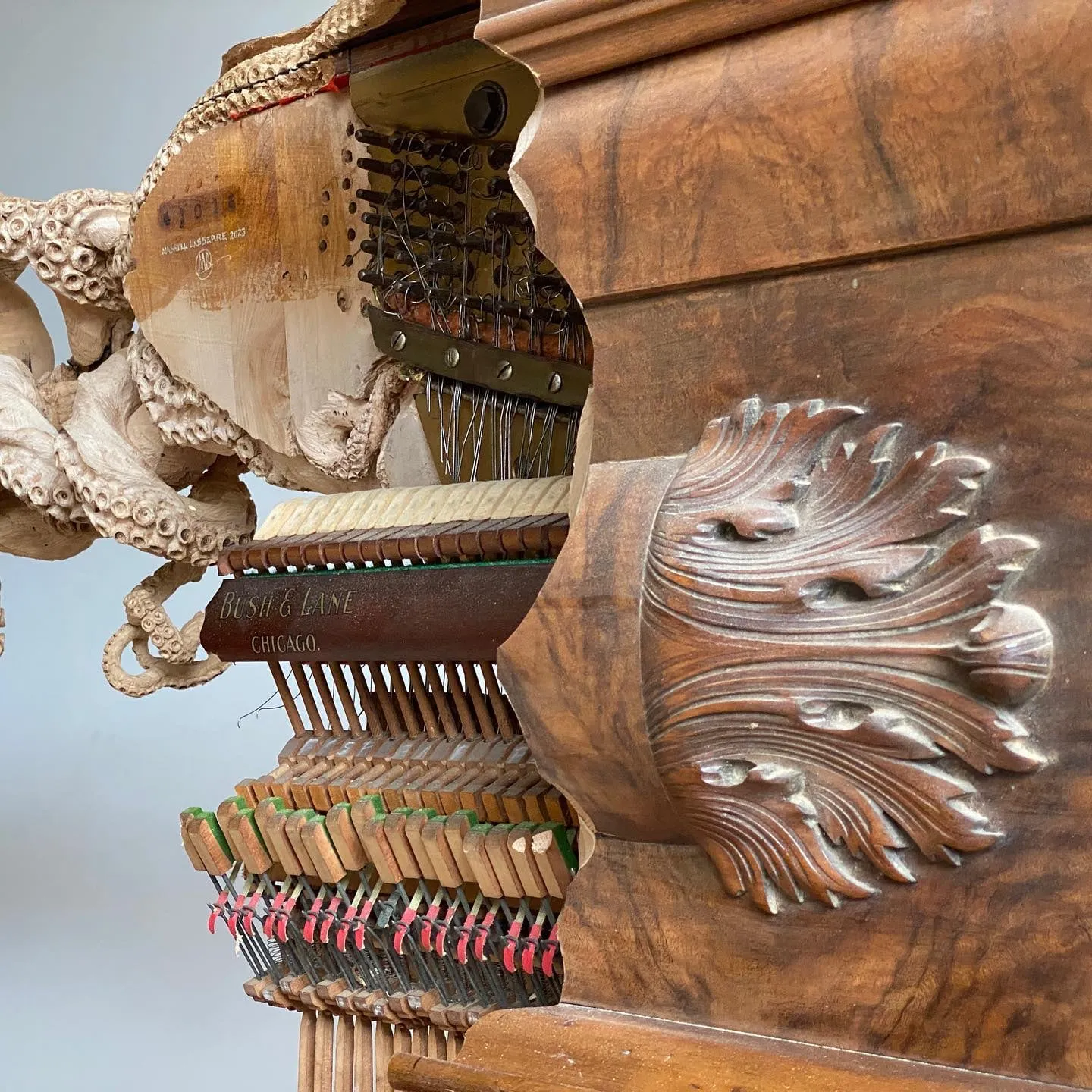 Une fantastique sculpture de pieuvre entre deux pianos par Maskull Lasserre une fantastique sculpture de pieuvre entre deux pianos par maskull lasserre 5 une-fantastique-sculpture-de-pieuvre-entre-deux-pianos-par-maskull-lasserre-5