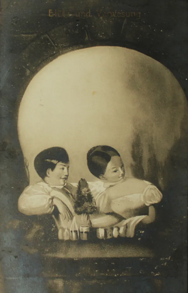 Des crânes en illusions d'optique dans des cartes postales du début du XXème siècle des cranes en illusions doptique dans des cartes postales du debut du xxeme siecle 15 des-cranes-en-illusions-doptique-dans-des-cartes-postales-du-debut-du-xxeme-siecle-15