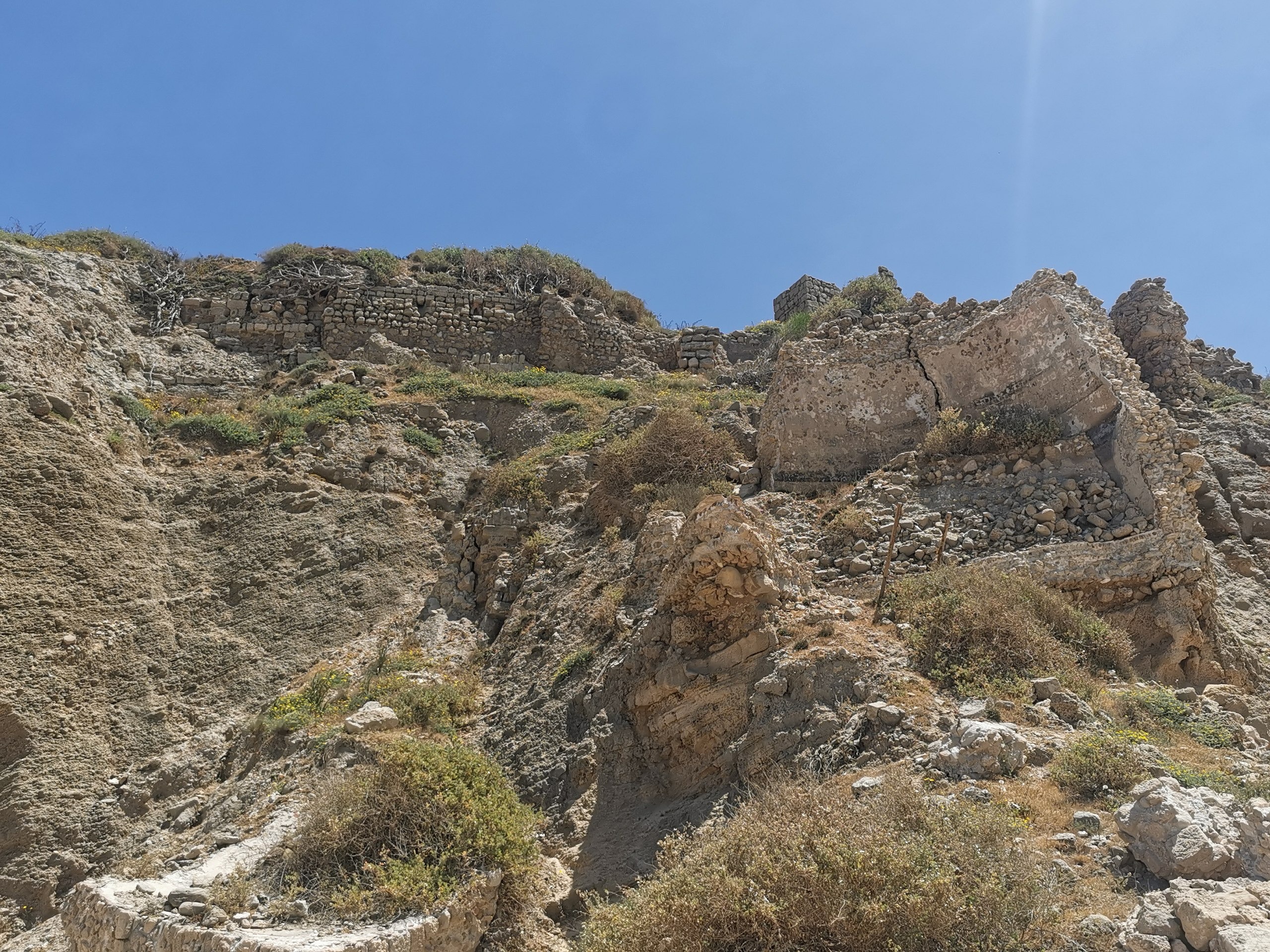 Le mystère du cimetière de chiens de Ashkelon le mystere du cimetiere de chiens de ashkelon 1 le-mystere-du-cimetiere-de-chiens-de-ashkelon-1.
