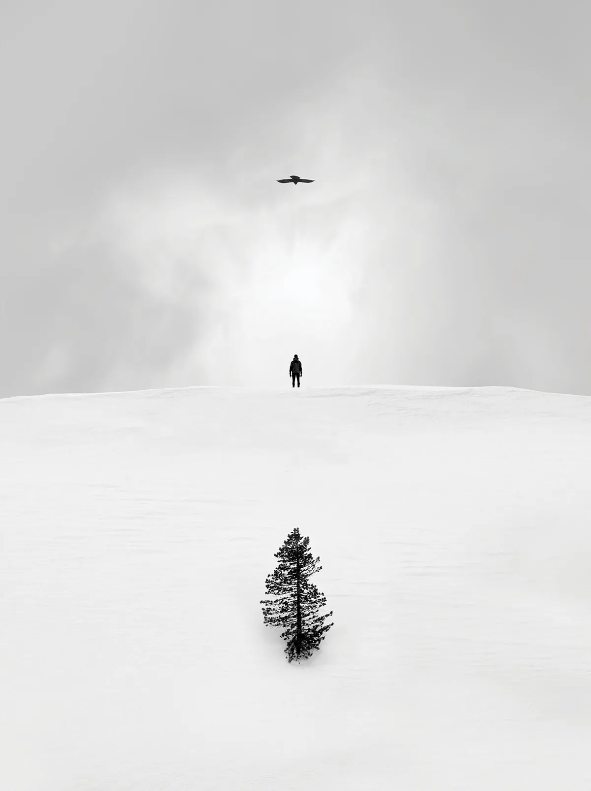 Ver+, des images qui capturent l'essence de la verticalité par Gustav Willeit ver des images qui capturent l essence de la verticalite par gustav willeit 3 ver-des-images-qui-capturent-l-essence-de-la-verticalite-par-gustav-willeit-3