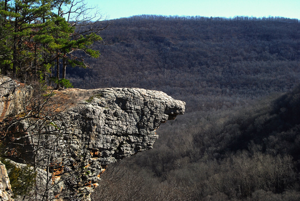 La plateforme rocheuse de Hawksbill Crag semble flotter au dessus de l'Upper Buffalo Wilderness la plateforme rocheuse de hawksbill crag semble flotter au dessus de lupper buffalo wilderness whitaker point 4 la-plateforme-rocheuse-de-hawksbill-crag-semble-flotter-au-dessus-de-lupper-buffalo-wilderness-whitaker-point-4