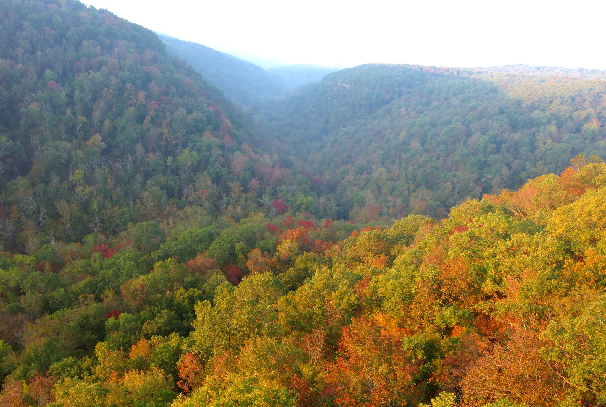 La plateforme rocheuse de Hawksbill Crag semble flotter au dessus de l'Upper Buffalo Wilderness la plateforme rocheuse de hawksbill crag semble flotter au dessus de lupper buffalo wilderness whitaker point 5 la-plateforme-rocheuse-de-hawksbill-crag-semble-flotter-au-dessus-de-lupper-buffalo-wilderness-whitaker-point-5