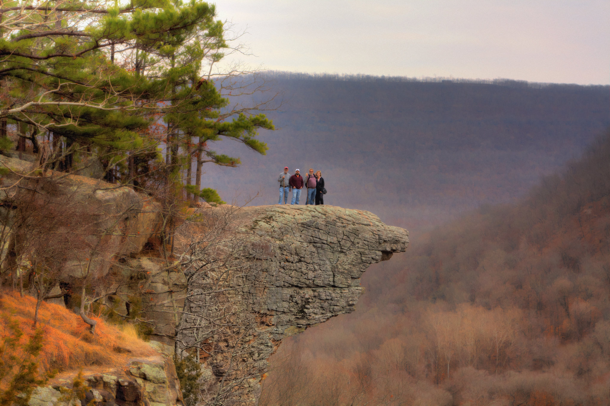 La plateforme rocheuse de Hawksbill Crag semble flotter au dessus de l'Upper Buffalo Wilderness la plateforme rocheuse de hawksbill crag semble flotter au dessus de lupper buffalo wilderness whitaker point la-plateforme-rocheuse-de-hawksbill-crag-semble-flotter-au-dessus-de-lupper-buffalo-wilderness-whitaker-point