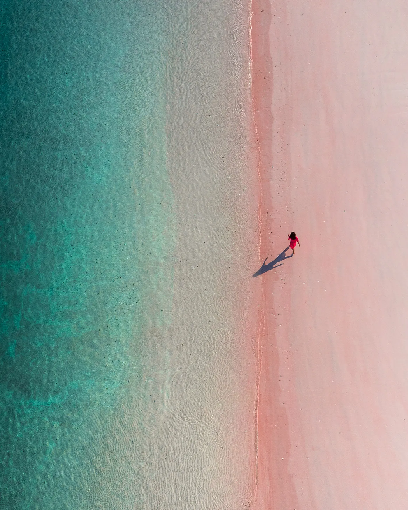 Pantai Merah, la plage rose de Komodo plage rose portraits par drone ile de Komodo indonesie plage-rose-portraits-par-drone-ile-de-Komodo-indonesie