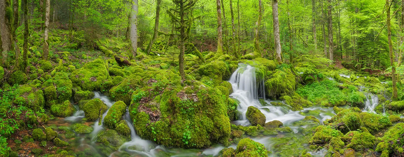 Quelques clichés de magnifiques cascades suisses quelques cliches de magnifiques cascades suisses jennifer essiva 10 quelques-cliches-de-magnifiques-cascades-suisses-jennifer-essiva-10