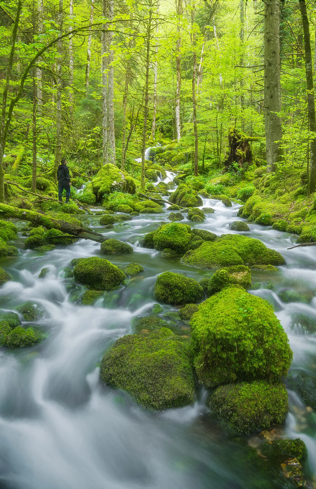 Quelques clichés de magnifiques cascades suisses quelques cliches de magnifiques cascades suisses jennifer essiva 8 quelques-cliches-de-magnifiques-cascades-suisses-jennifer-essiva-8