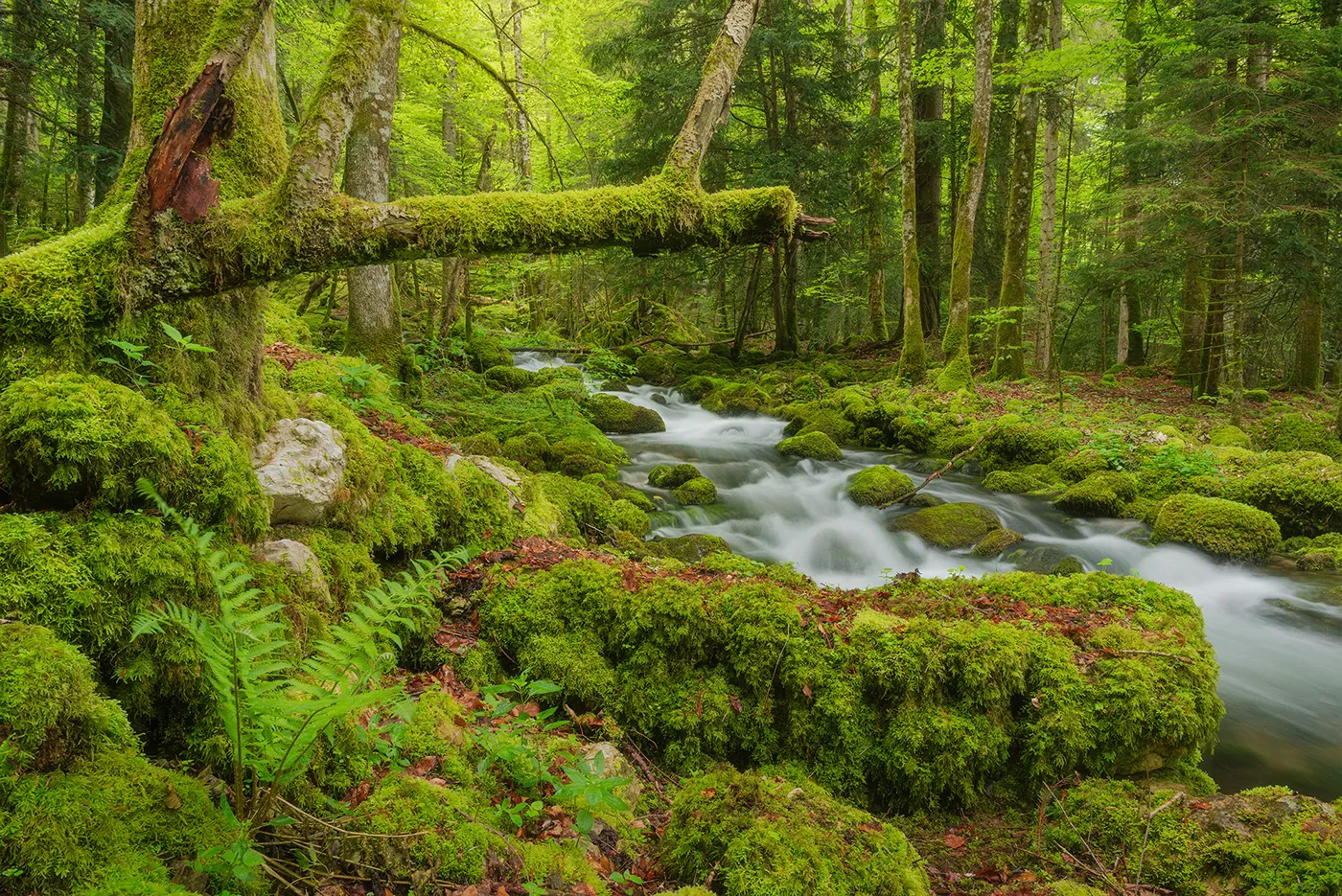 Quelques clichés de magnifiques cascades suisses quelques cliches de magnifiques cascades suisses jennifer essiva 9 quelques-cliches-de-magnifiques-cascades-suisses-jennifer-essiva-9