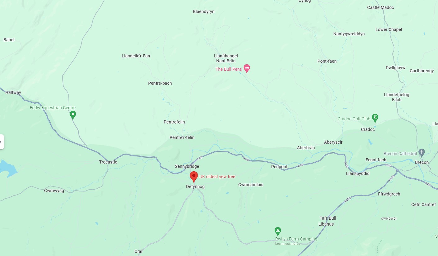 L'if de Defynnog, le plus ancien if de Grande-Bretagne l if de defynnog le plus ancien if de grande bretagne maps l-if-de-defynnog-le-plus-ancien-if-de-grande-bretagne-maps