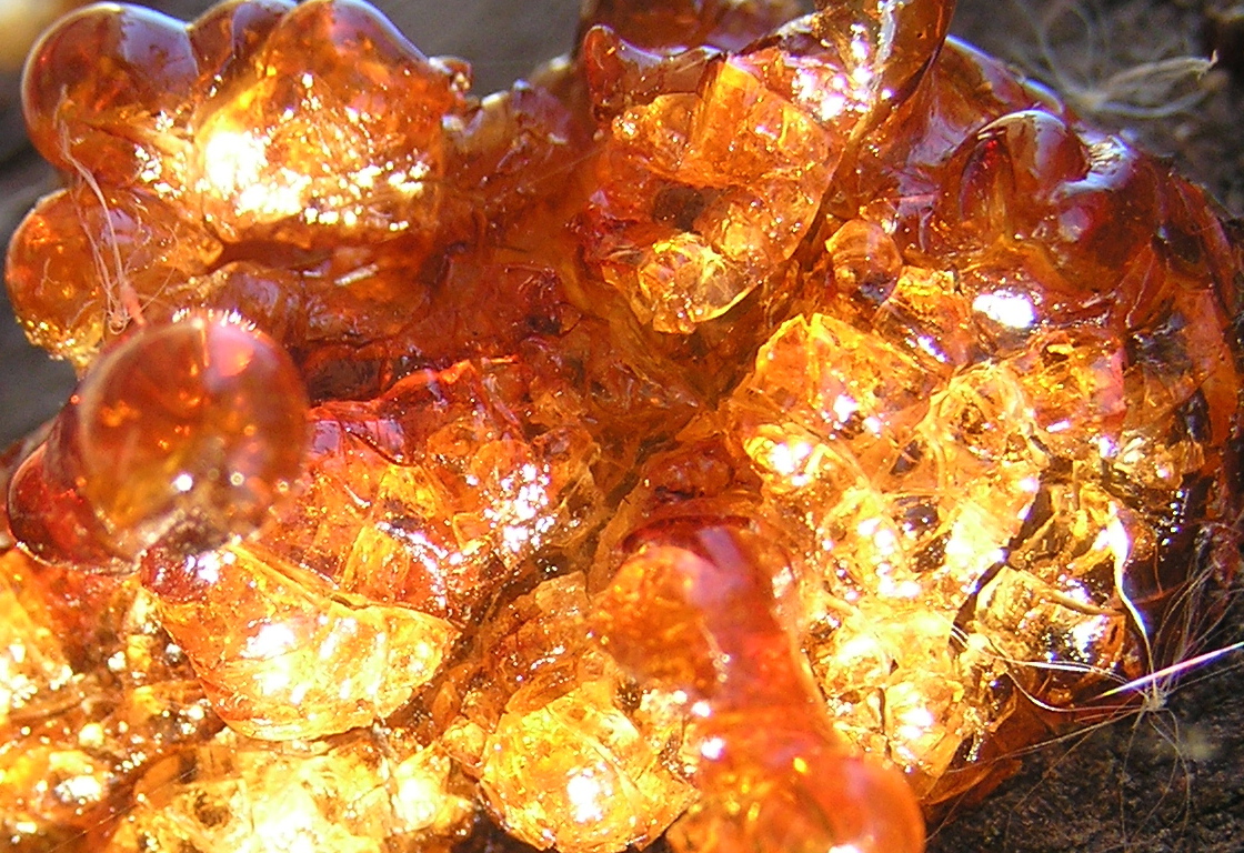 Le mystère et la beauté de la résine d'arbre le mystere et la beaute de la resine d arbre 5 e-mystere-et-la-beaute-de-la-resine-d-arbre-5.