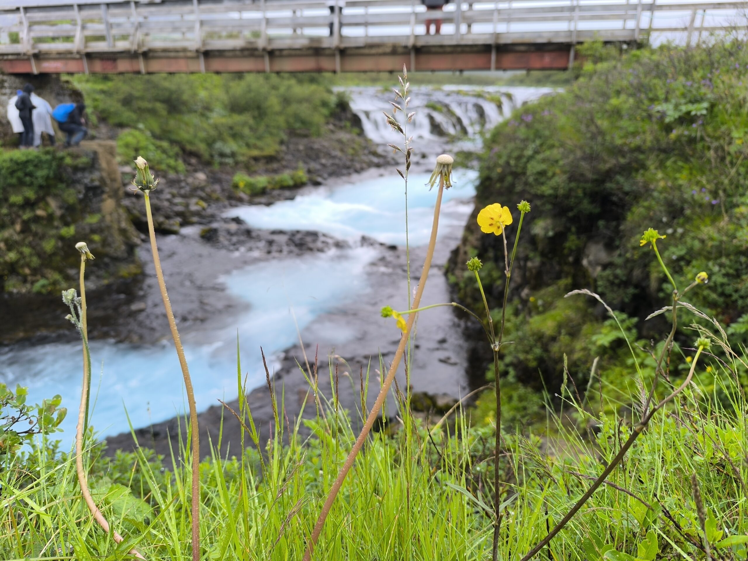 La magnifique cascade de Brúarfoss, Sautadet islandais la magnifique cascade de bruarfoss sautadet islandais 3 scaled la-magnifique-cascade-de-bruarfoss-sautadet-islandais-3
